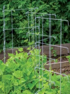 Pea And Cucumber Fence 2/Pack