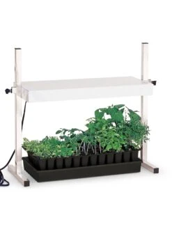 Burpee Table Top Grow Light