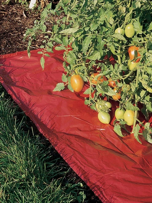 Reflective Red Mulch Film - Image 2