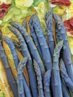 Asparagus, Purple Passion