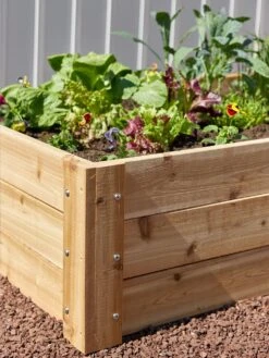 Deep Cedar Raised Bed