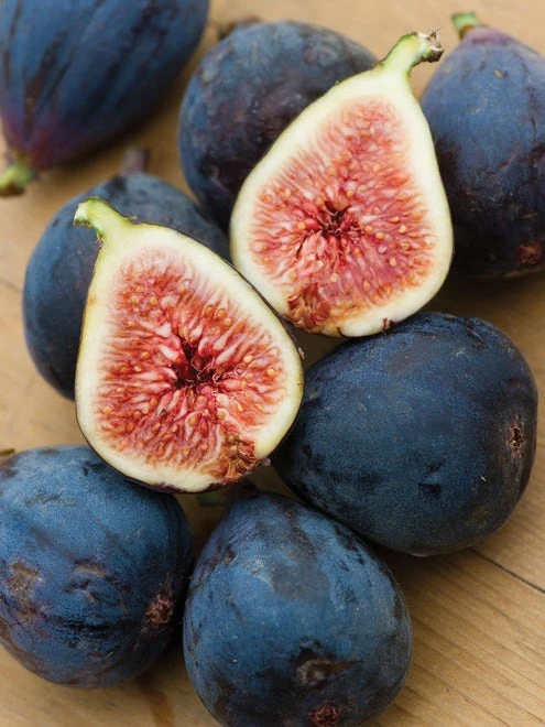 Fig, Black Mission - Image 2