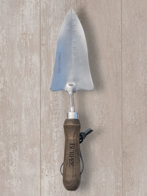 Garden Tools - Burpee Stainless Steel Transplanter - Image 6