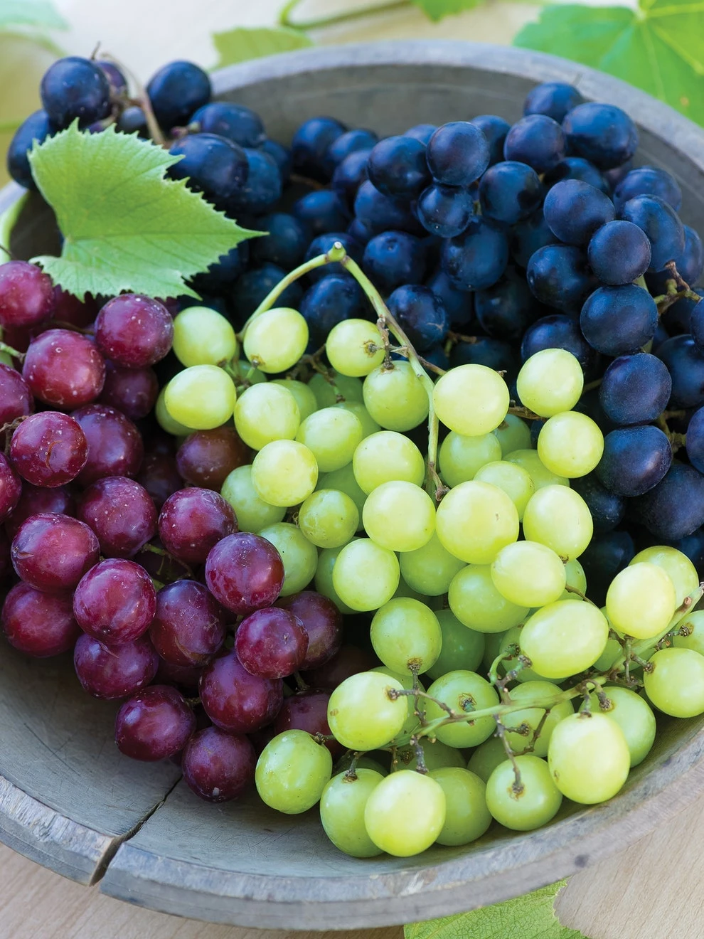 Grape, Seedless Collection