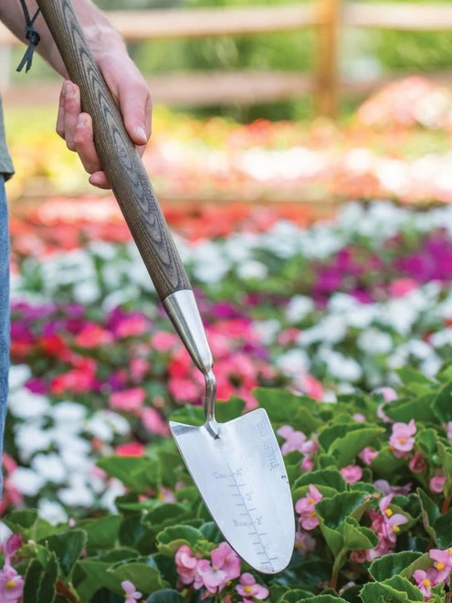 Garden Tools - Burpee Stainless Steel Long Handle Trowel - Image 5