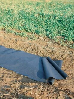 Planters Paper Mulch 2 X 50