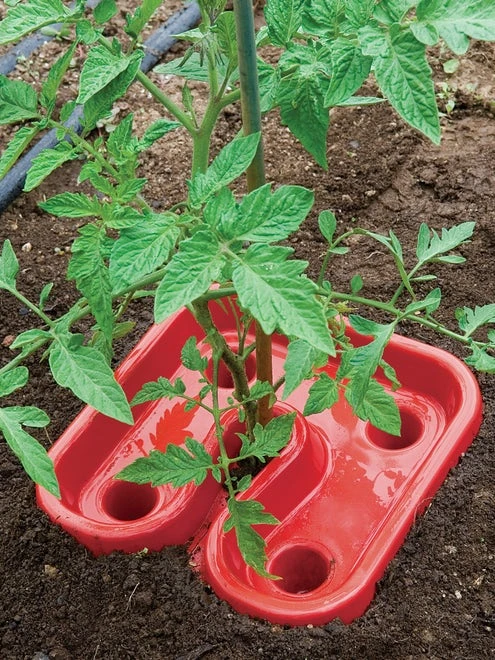 Tomato & Pepper Automator Trays - Image 2