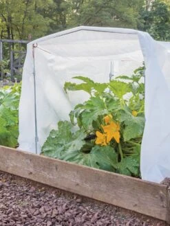 Burpee Exclusive Adjustable Frost Protection Kit