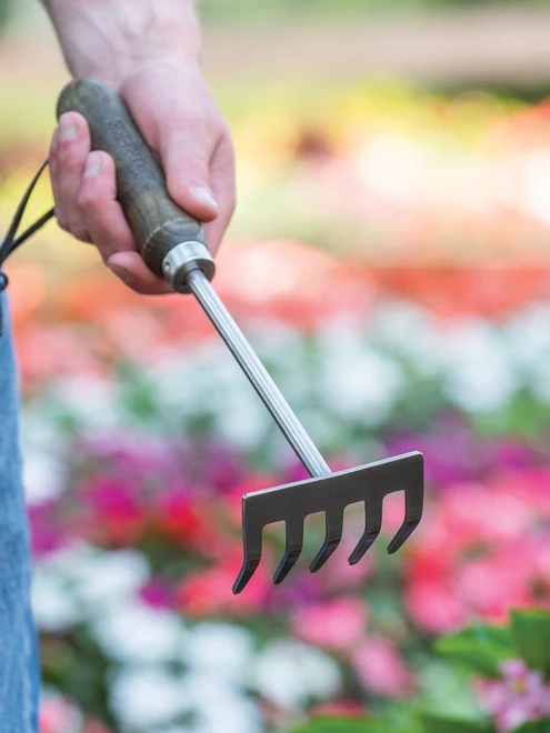 Garden Tools - Burpee Stainless Steel 5 Tine Rake - Image 5