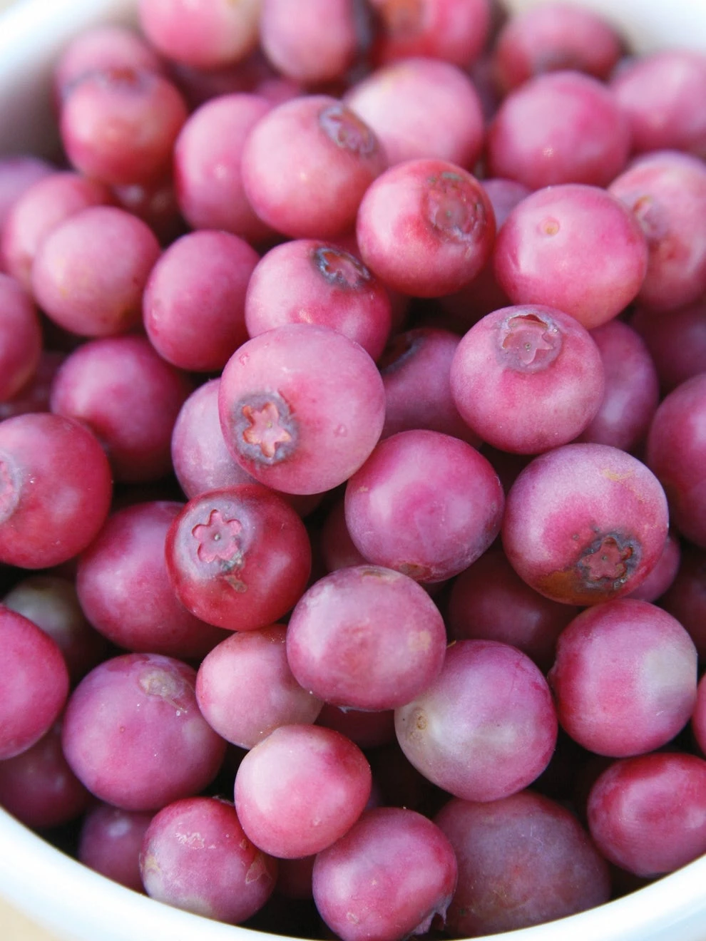 Blueberry, Pink Lemonade - Image 2