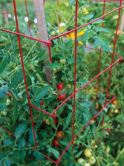 XL Pro Series Cage - Red - Image 4