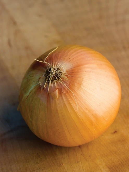 Onion, Big Daddy - Image 2