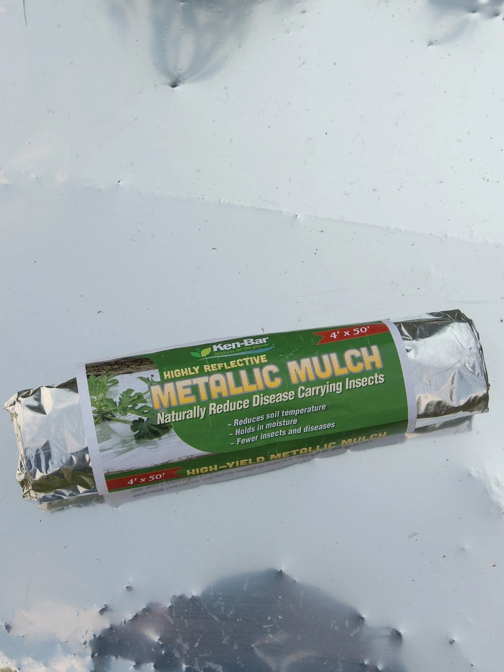 Silver Mulch - Image 4