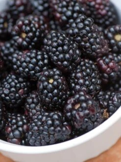 Blackberry, Triple Crown