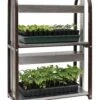 Grow Light Burpee LED Two Tier Cart