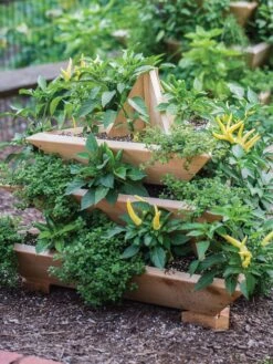 Plant Pyramid Raised Planters