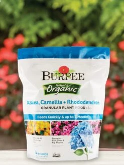 Burpee Natural Organic Azalea, Camellia, Rhododendron Plant Food 4-3-4