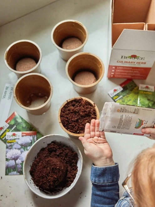 Burpee Culinary Herb Seed Starter Kit - Image 4