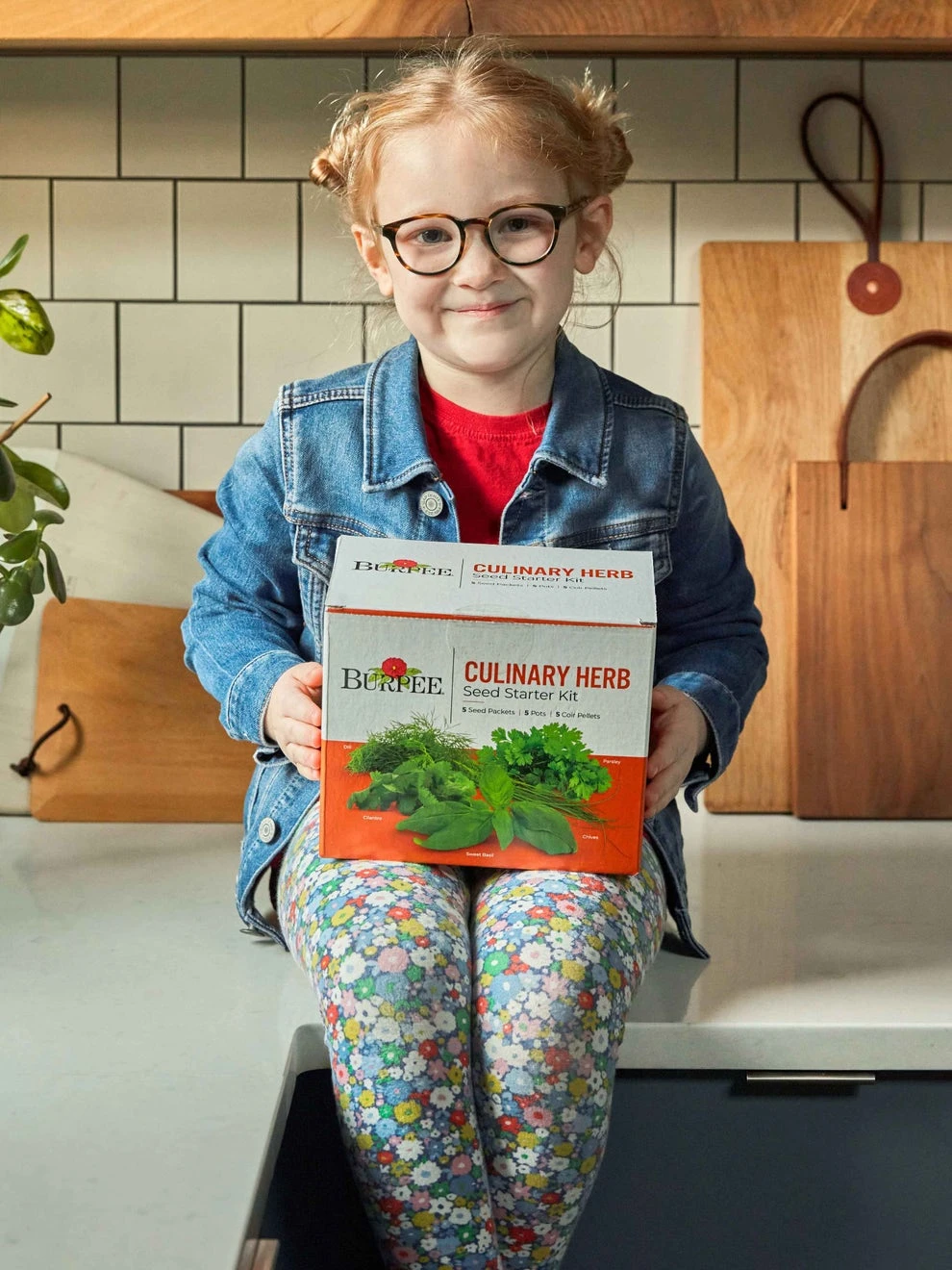 Burpee Culinary Herb Seed Starter Kit - Image 2