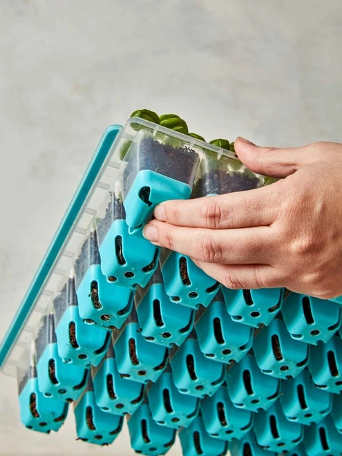 SuperSeed Seed Starting Tray, 36 Cell - Image 5