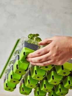 SuperSeed Seed Starting Tray, 16 XL Cell