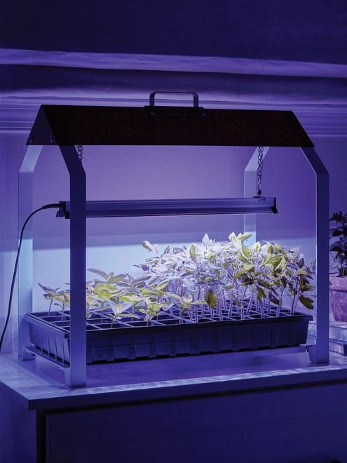 Grow Light, Fordhook LED - Image 6