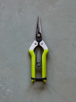 Shears, Burpee CR725 Garden Pruning