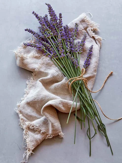 Lavender, Sensational!® - Image 6