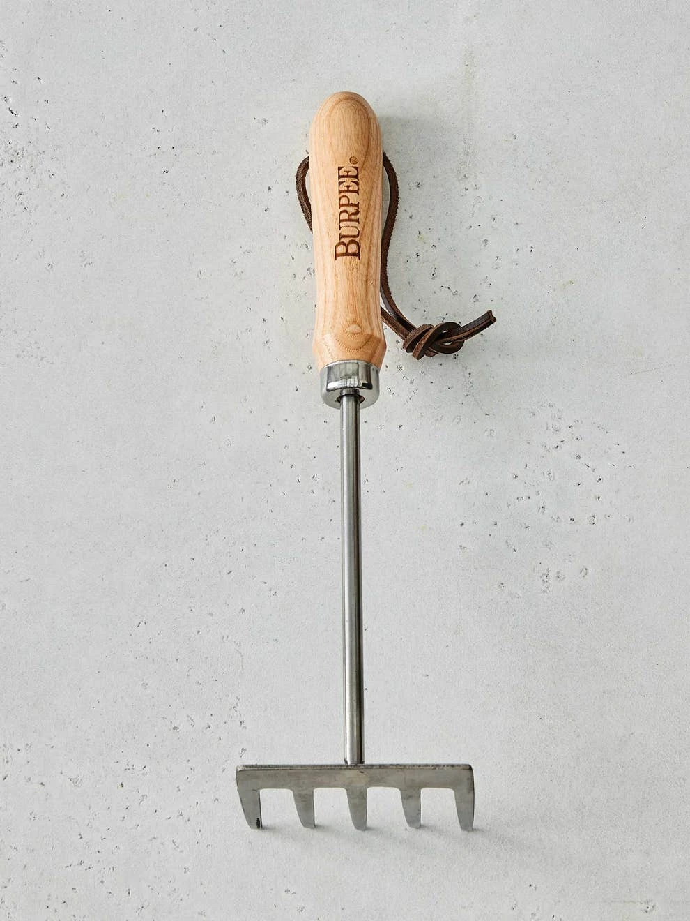 Garden Tools - Burpee Stainless Steel 5 Tine Rake - Image 4