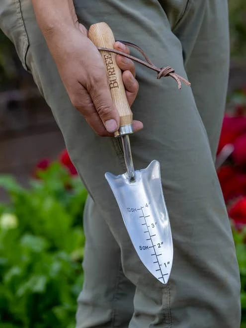 Garden Tools - Burpee Stainless Steel Transplanter - Image 7